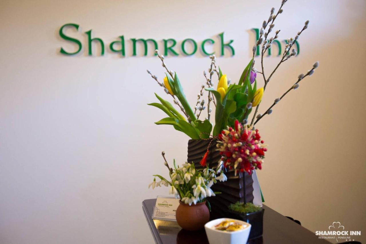 Shamrock Inn Iasi Exteriér fotografie